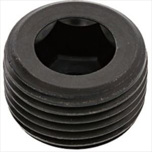 ��SUNCO �ץ饰(���� �����ޥ� PT 1/4 (100����) A000571K8020000000(2485141)[�������Ӥ����Ѥ�][ˡ�͸���][�ǳ����]