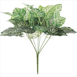 ������ ���ߥơ�����󥰥꡼�� �꡼�եԥå� LF-06 LF06(2539130)[�������Ӹ��Ѥ�][ˡ�͡����Ƚ����][��ľ��]