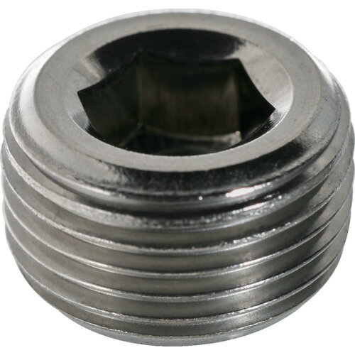 ��TRUSCO �ơ��ѡ����ߥץ饰(SP4) ������PT1 ���ƥ�쥹 1���� B840001(2580188)