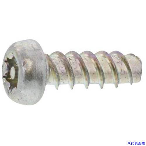 乐天商城 - ■SUNCO 三価ホワイト TR×タンパ-Pタイナベ 3 ×16 T10 (2500本入) 30002U000030016003(2617717)[送料別途お見積り][法人限定][掲外取寄]