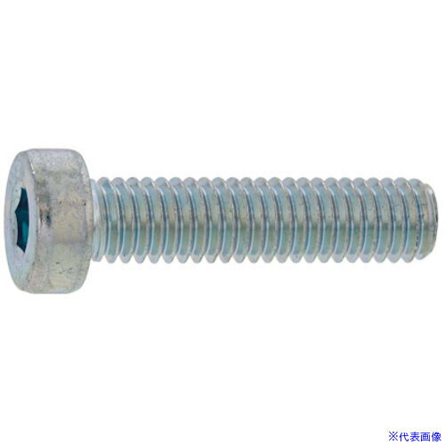 ■SUNCO クロメ-ト ローヘッドCAP 4×8 (1000本入) A000L0000040008002(2700081)[送料別途お見積り][法人限定][掲外取寄]