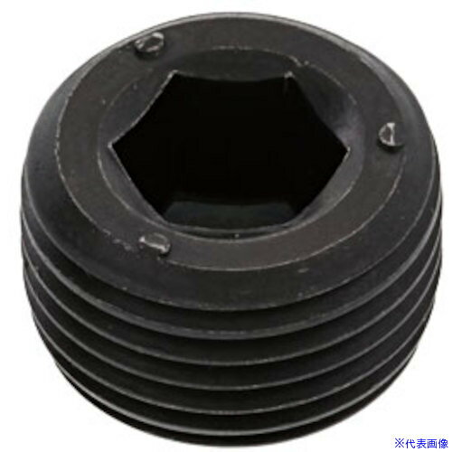 ■SUNCO プラグ(沈みNPTF DB 1/8 (500本入) A00057408010000000(2714266)[送料別途お見積り][法人限定][..