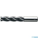 ■S&K Sコーティング ハイスラフィングエンドミル ファインピッチロング刃 SFPAL28X100(3234206)(4)