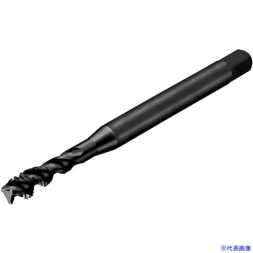 ■SANDVIK コロタップ300 スパイラルタップ(781) B145 T300XM100DK1.12(B145)(3267441)[送料別途お見積り][法人限定][メーカー取寄]