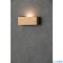 ■朝日 LED壁掛捕虫器 hidamari(キャラメル) HIDAMARICM(3384755)