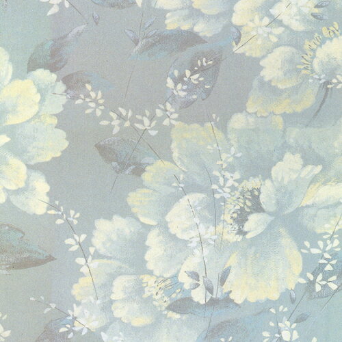 ��HEIKO ������ �����ˡ� ��Ƚ 50������ 002417701(3424840)[�������Ӥ����Ѥ�][ˡ�͸���][�ǳ����]