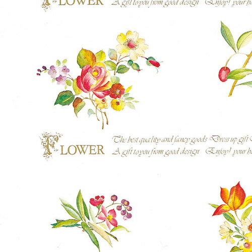 ��HEIKO ������ ���å����ե� ��Ƚ 50������ 002418900(3442138)[�������Ӥ����Ѥ�][ˡ�͸���][�ǳ����]