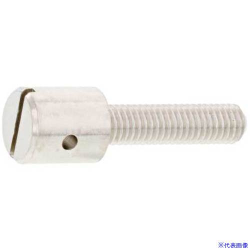 ■SUNCO ニッケルECO-BS封印ビス 5×20 (8本入) 0001J04C00500200058P(3451586)[送料別途お見積り][法人限定][掲外取寄]