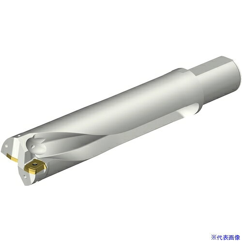 オレンジブック トラスコ中山　TRUSCOSANDVIK コロドリルDS20刃先交換式ドリル(465) 〔品番:DS20D6400L5004〕[ 注番:3512579]特長●ダブルステップテクノロジーによりスムーズな食いつきで加工が開始されます。●独自のフルート設計でスパイラル＋直線フルートを採用しています。●フルート断面形状は台形断面の中心刃と外周刃フルートで異なった形状をしています。●チップ設計：中心刃・外周刃とも4コーナー使用できます。●ダブルクーラントホール：クーラント穴をトップに配置しているため、切屑排出を高めます。用途●穴あけ用。仕様●切削径DC(mm)：64●使用可能長さLU(mm)：257.5891●機械側接続径DCONMS(mm)：50●適合インサート：DS20-07・・・P、DS20-07・・・C仕様2●4つの穴あけ加工において信頼性、安定性、卓越した加工能力を実現する刃先交換式ドリル●円筒平取り付きシャンク●内部給油式●ミリバージョン材質/仕上セット内容/付属品注意原産国（名称）スウェーデンJANコード本体質量4.848kgオレンジブック トラスコ中山　TRUSCOSANDVIK コロドリルDS20刃先交換式ドリル(465) 〔品番:DS20D6400L5004〕[注番:3512579][本体質量：4.848kg]《包装時基本サイズ：390×108×108》〔包装時質量：5kg〕分類》切削工具》旋削・フライス加工工具》刃先交換式ドリル☆納期情報：メーカー取り寄品（弊社より発送）