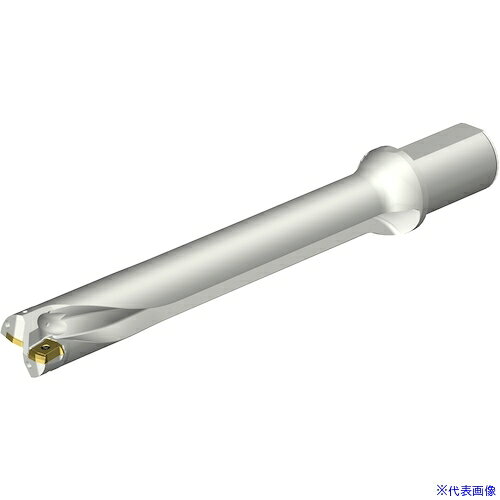 オレンジブック トラスコ中山　TRUSCOSANDVIK コロドリルDS20刃先交換式ドリル(465) 〔品番:DS20D4400L5007〕[ 注番:3512591]特長●ダブルステップテクノロジーによりスムーズな食いつきで加工が開始されます。●独自のフルート設計でスパイラル＋直線フルートを採用しています。●フルート断面形状は台形断面の中心刃と外周刃フルートで異なった形状をしています。●チップ設計：中心刃・外周刃とも4コーナー使用できます。●ダブルクーラントホール：クーラント穴をトップに配置しているため、切屑排出を高めます。用途●穴あけ用。仕様●切削径DC(mm)：44●使用可能長さLU(mm)：309.2766●機械側接続径DCONMS(mm)：50●適合インサート：DS20-06・・・P、DS20-06・・・C仕様2●4つの穴あけ加工において信頼性、安定性、卓越した加工能力を実現する刃先交換式ドリル●円筒平取り付きシャンク●内部給油式●ミリバージョン材質/仕上セット内容/付属品注意原産国（名称）スウェーデンJANコード本体質量3.521kgオレンジブック トラスコ中山　TRUSCOSANDVIK コロドリルDS20刃先交換式ドリル(465) 〔品番:DS20D4400L5007〕[注番:3512591][本体質量：3.521kg]《包装時基本サイズ：438×109×109》〔包装時質量：4kg〕分類》切削工具》旋削・フライス加工工具》刃先交換式ドリル☆納期情報：メーカー取り寄品（弊社より発送）