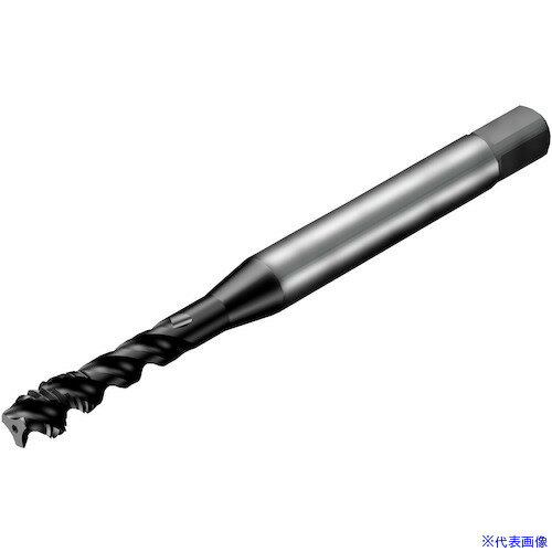 ��SANDVIK �������å�300 ���ѥ���륿�å�(780) P1PM T300PM104DAM10(P1PM)(3512675)[�������Ӥ����Ѥ�][ˡ�͸�...