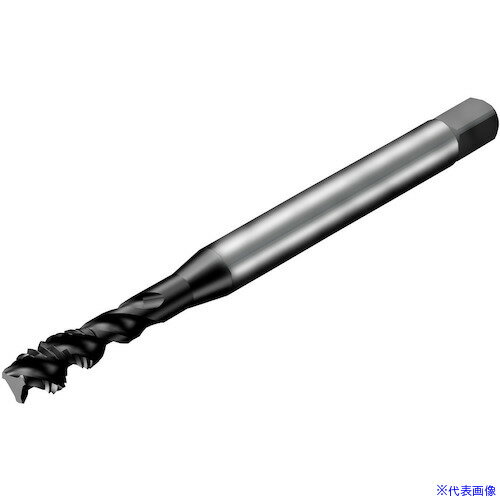 ��SANDVIK �������å�300 ���ѥ���륿�å�(780) P1PM T300PM100AAM6(P1PM)(3517395)[�������Ӥ����Ѥ�][ˡ�͸���...