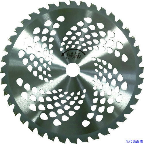 ��GS ��������åץ���230mm36���2���� 210428(3600882)