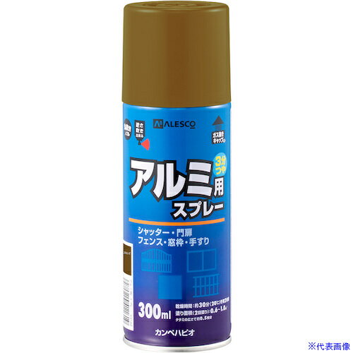 ��KANSAI ����������ѥ��ץ졼 �֥��� 300ml 00737640992300(3635764)��12[�������Ӥ����Ѥ�][ˡ�͸���][�ǳ����]