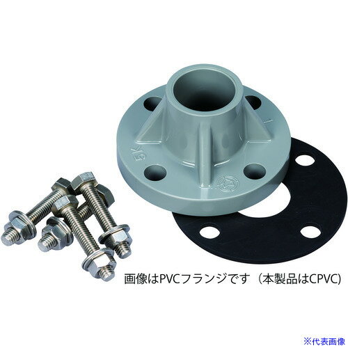 ■日本フイルター EGL-3-A/B共通オプション 「入口 TS-CPVCフランジ 25A ASSY」 (フランジ・ボルト・ナット・パッキン) F0610050910(3697275)[送料別途お見積り][法人限定][外直送]