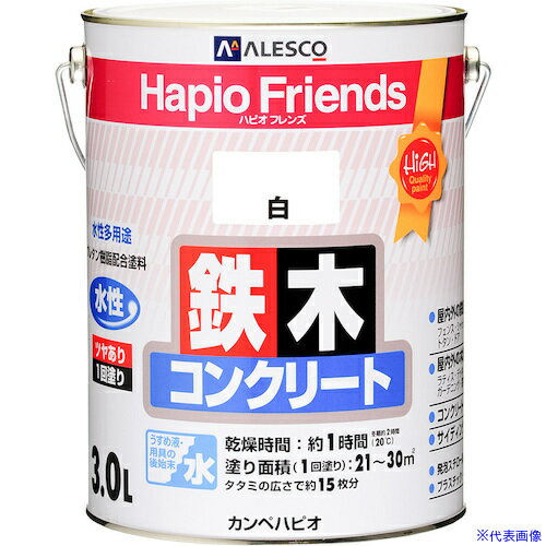  KANSAI �n�s�I�t�����Y �� 3L 00077650011030(3765554)�~4[�����ʓr�����ς�][�@�l����][�f�O���]