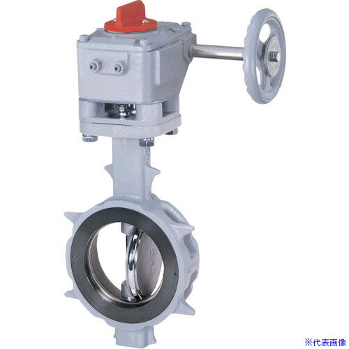 ���� �Х��ե饤�Х�� JIS10K/50A 304YA��2U SCS13A/SCS13A/R��PTFE ���� 304YA2U50SR(3775414)