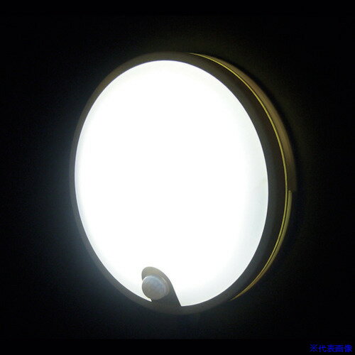 ��REVEX ���٥ԥ� SLK800 SLK800(3828945)