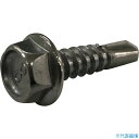 ■コクブ ドリルねじ ハードテック 六角4.8×16(100本入) HH4816P(3842748)