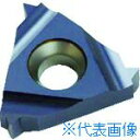 ■NOGA Carmexねじ切り用チップ ウイットねじ・管用平行ねじ用 チップサイズ16×11山×55° 16ER11WBMA(4034295)×10