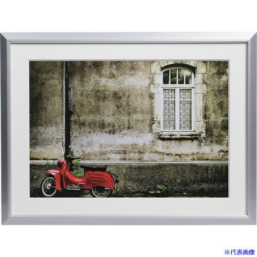 ■Kenko 1250232 アルミ額縁 アタンド A4 シルバー/ホワイト AAT-A4-SW AATA4SW(4142601)