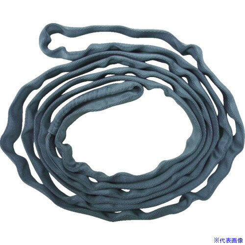 ■TESAC ブルースリングソフトN形(エンドレスタイプ)荷重0.5t 全長2m(JIS規格品) TBSN0.5TX2M(4214226)