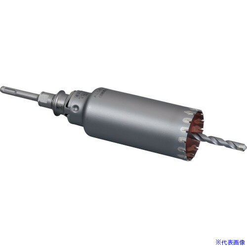 ���ߥ�ʥ� ALC�ѥ����ɥ�� ���å�(SDS�ץ饹�����) ��40 PCALC40R(4234083)[�������Ӥ����Ѥ�][ˡ�͸���][�ǳ����]