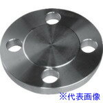■inoc ブラインドフランジ 304BDRF300LB20A(4286213)[送料別途お見積り][法人限定][掲外取寄]