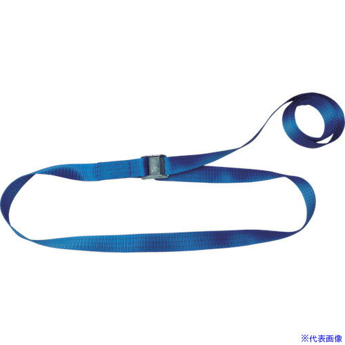 ■TESAC ラッシングベルト(ベルト荷締機)カムバックル式エンドレスタイプ C15N040000A(4333951)