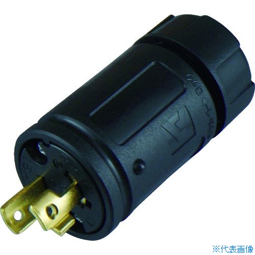 ������ꥫ���ŵ� ���ݷ� �ʥ�����ץ饰 2P 15A 250V 2122N(4419391)