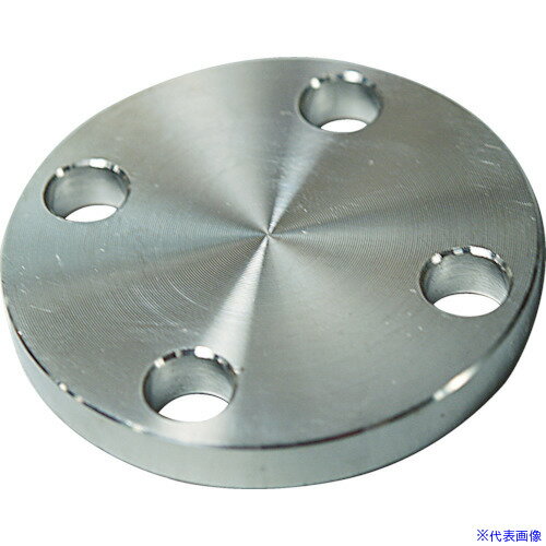 ��FLOBAL SUS304 10K �Ļߥե�� 14100570 SUS10KBLFF15A(4445821)