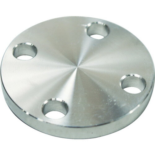 ��FLOBAL SUS304 5K �Ļߥե�� 14100559 SUS5KBLFF65A(4446062)