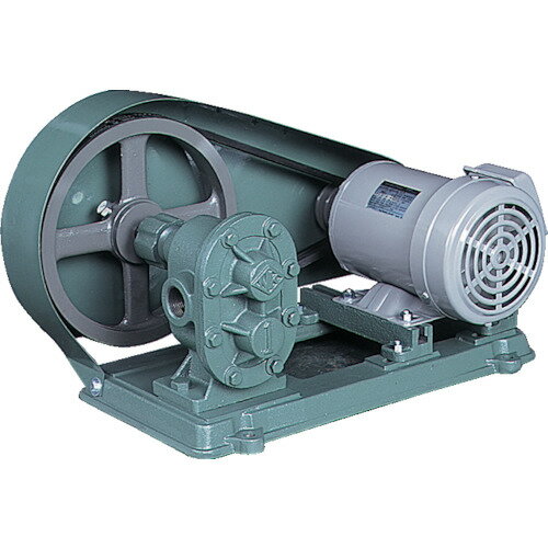 ■NK ギヤーポンプ(電動機連結型) 口径20A KAS06(4575687)[法人限定][直送元]