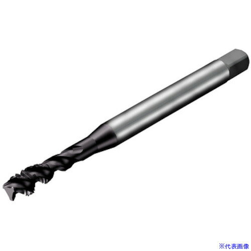 オレンジブック トラスコ中山　TRUSCOSANDVIK コロタップ300 スパイラルタップ(781) B110 〔品番:T300XM170DAM6〕[ 注番:4611671]特長●CoroTap 300は、止まり穴タップ加工に最適なスパイラルフルートタップの製品レンジです。●種々の用途に応じて異なるねじれ角のものがあります。●さまざまな被削材に対応する広範なタップや特定の被削材やアプリケーション用に最適化されたタップがあります。用途●止まり穴用。●鋼・ステンレス鋼・鋳鉄・非鉄金属・超合金およびチタン用。仕様●精度：6H●呼び寸法：M6●ピッチ(mm)：1●ねじ長さ(mm)：10●全長(mm)：125●シャンク径(mm)：6●シャンク四角部(mm)：シャンク四角部(mm)●下穴径(mm)：5●表面処理：TiAlN仕様2材質/仕上セット内容/付属品注意原産国（名称）スウェーデンJANコード本体質量7.7gオレンジブック トラスコ中山　TRUSCOSANDVIK コロタップ300 スパイラルタップ(781) B110 〔品番:T300XM170DAM6〕[注番:4611671][本体質量：7.7g]《包装時基本サイズ：140×15×15》〔包装時質量：32g〕分類》切削工具》ねじ切り工具》スパイラルタップ☆納期情報：メーカー取り寄品（弊社より発送）