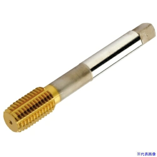 オレンジブック トラスコ中山　TRUSCOSANDVIK コロタップ400 転造タップ(781) B125 〔品番:T400XM151DAM24〕[ 注番:4616450]特長●CoroTap 400は、鋼、ステンレス鋼、アルミ合金および耐熱合金 (HRSA) における、貫通孔および止まり穴の両方の加工に最適な高速で切りくずの出ない転造タップです。用途●貫通穴および止まり穴用。●鋼・ステンレス鋼・非鉄金属・超合金およびチタン用。仕様●精度：6HX●呼び寸法：M24●ピッチ(mm)：3●ねじ長さ(mm)：36●全長(mm)：160●シャンク径(mm)：18●下穴径(mm)：22.5●表面処理：TiN仕様2材質/仕上セット内容/付属品注意原産国（名称）スウェーデンJANコード本体質量7.7gオレンジブック トラスコ中山　TRUSCOSANDVIK コロタップ400 転造タップ(781) B125 〔品番:T400XM151DAM24〕[注番:4616450][本体質量：7.7g]《包装時基本サイズ：165×30×30》〔包装時質量：358g〕分類》切削工具》ねじ切り工具》ロールタップ☆納期情報：メーカー取り寄品（弊社より発送）