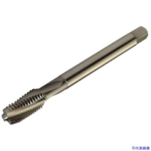 乐天商城 - ■SANDVIK コロタップ300 スパイラルタップ(781) B125 T300XM101DAM22(B125)(4622818)[送料別途お見積り][法人限定][メーカー取寄]