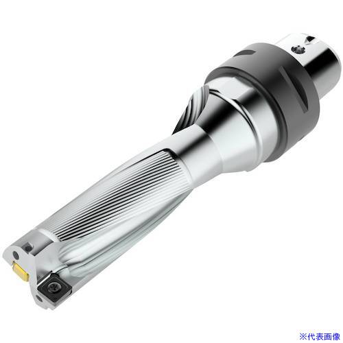 オレンジブック トラスコ中山　TRUSCOセコ 【受注生産品・返品不可】 ドリル パフォーマックスドリル 3Dタイプ SD523 〔品番:SD52328.5986C5〕[ 注番:4840274]特長●Perfomax　は長年にわたって定評あるスローアウェイ式ドリルで、高い生産性で穴加工が可能な経済性の高いソリューションです。仕様仕様2●DC : 28.59mm●LU : 86.0mm●接続サイズ : C5●シャンクタイプ : Seco-Capto材質/仕上セット内容/付属品注意原産国（名称）非公開JANコード本体質量0.8kgオレンジブック トラスコ中山　TRUSCOセコ 【受注生産品・返品不可】 ドリル パフォーマックスドリル 3Dタイプ SD523 〔品番:SD52328.5986C5〕[注番:4840274][本体質量：0.8kg]《包装時基本サイズ：210×70×70》〔包装時質量：1kg〕分類》切削工具》旋削・フライス加工工具》刃先交換式ドリル☆納期情報：メーカー取り寄品（弊社より発送）