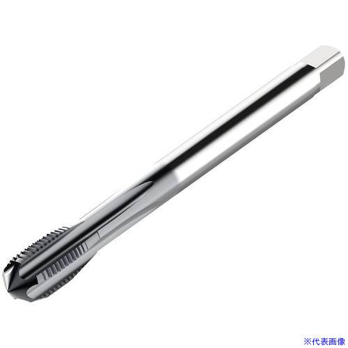 オレンジブック トラスコ中山　TRUSCOセコ タップ 〔品番:MTSM12X1.25ISO6HXXCK111〕[ 注番:4906851]特長●あらゆる用途に使用できるように設計された高速鋼 Threadmaster Tap は、幅広い被削材種に効果的にねじ穴を開けられます。●この工具の特徴は高度なコーティング技術です。●一般的なノンコーティング品と比較して、最高 350 HB の鋼、ステンレス鋼、鋳鉄でより高い切削条件と生産量を達成できます。仕様●CZC：9.00X7.00●DMM(mm)：9.0●LF(mm)：96.5625●LU(mm)：73.0●TDZ：MF12X1.25●THCHT：C●THLGTH(mm)：21.0仕様2材質/仕上セット内容/付属品注意原産国（名称）非公開JANコード本体質量0.06kgオレンジブック トラスコ中山　TRUSCOセコ タップ 〔品番:MTSM12X1.25ISO6HXXCK111〕[注番:4906851][本体質量：0.06kg]《包装時基本サイズ：120×20×20》分類》切削工具》旋削・フライス加工工具》刃先交換式工具☆納期情報：メーカー取り寄品（弊社より発送）