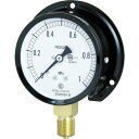 ■長野 普通形圧力計(B枠立形・φ75・G3/8B・0.0~1.00Mpa) AC202311.0MP(4984587)