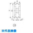 ■EVN ブッシングプーリー SPB 145mm 溝数4 SPB1454(5143993)[送料別途見積り][法人・事業所限定][掲外取寄]