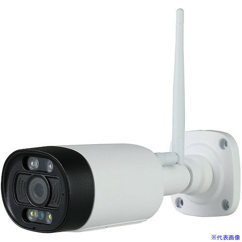 �������ƥå� ���ȥ���� ����������(���󥵡��饤����) 52352(5224295)[�������Ӹ��Ѥ�][ˡ�͡����Ƚ����][��ľ��]