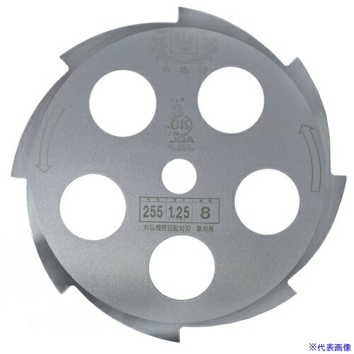 ���ĥ�� ��ʧ���Ѵ��� 8��� ���� �ߥ��� 255��1.25��8P 1010(5372595)[�������Ӥ����Ѥ�][ˡ�͸���][�ǳ����]