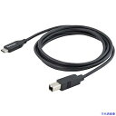■スターテック USB 2.0ケーブル/2m/Type-B - Type-C/480Mbps/オス-オス/ブラック/タイプC - B USB2CB2M(5391...