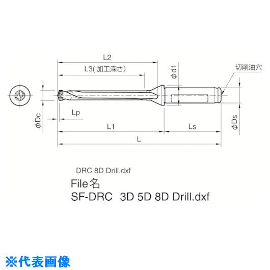 �������� �ޥ��å��ɥ���ѥۥ�� SF-DRC �ù�����8��DC SF25DRC250M8(5522951)[�������Ӥ����Ѥ�][ˡ�͸���][�ǳ����]