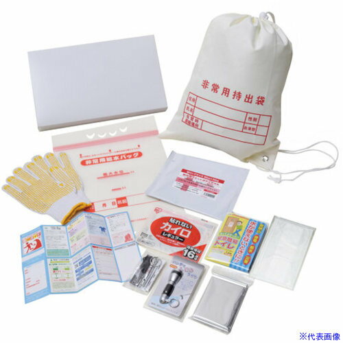 ■リンクサス 非常持出しセット11点(チェックリスト付非常袋) CL11(5538952)[送料別途見積り][法人・事..