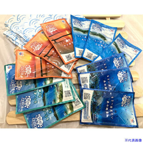 ■アース バスロマン 旅する沖縄 694515(5660098)×12[送料別途見積り][法人・事業所限定][掲外取寄]