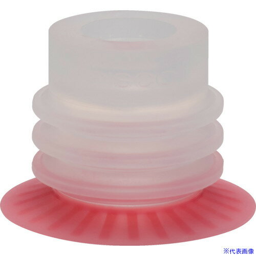 PISCO ѥå VP20PBS23(5744818)[ӤѤ][ˡ͸][ǳ]