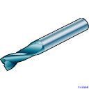 ■サンドビック コロミルプルーラ 超硬ソリッドエンドミル(730) 1620 R216.T408030BAS12N(1620)(5745934)[送料別途見積り...