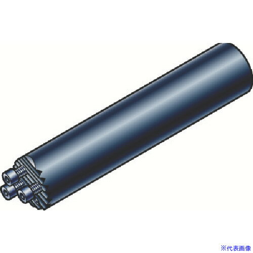 ■SANDVIK コロターンSL(430) SL3C25255(5783801)[送料別途お見積り][法人限定][掲外取寄]