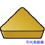 ɥӥå T-Max ѥݥå(130) H13A TPGN220408(H13A)(5797896)10[ӸѤ][ˡ͡Ƚ]...